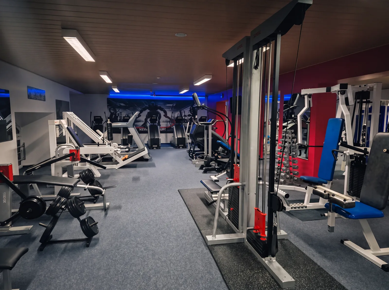Blick über die Trainingsfläche mit Kraftgeräten und Freihantelbereich